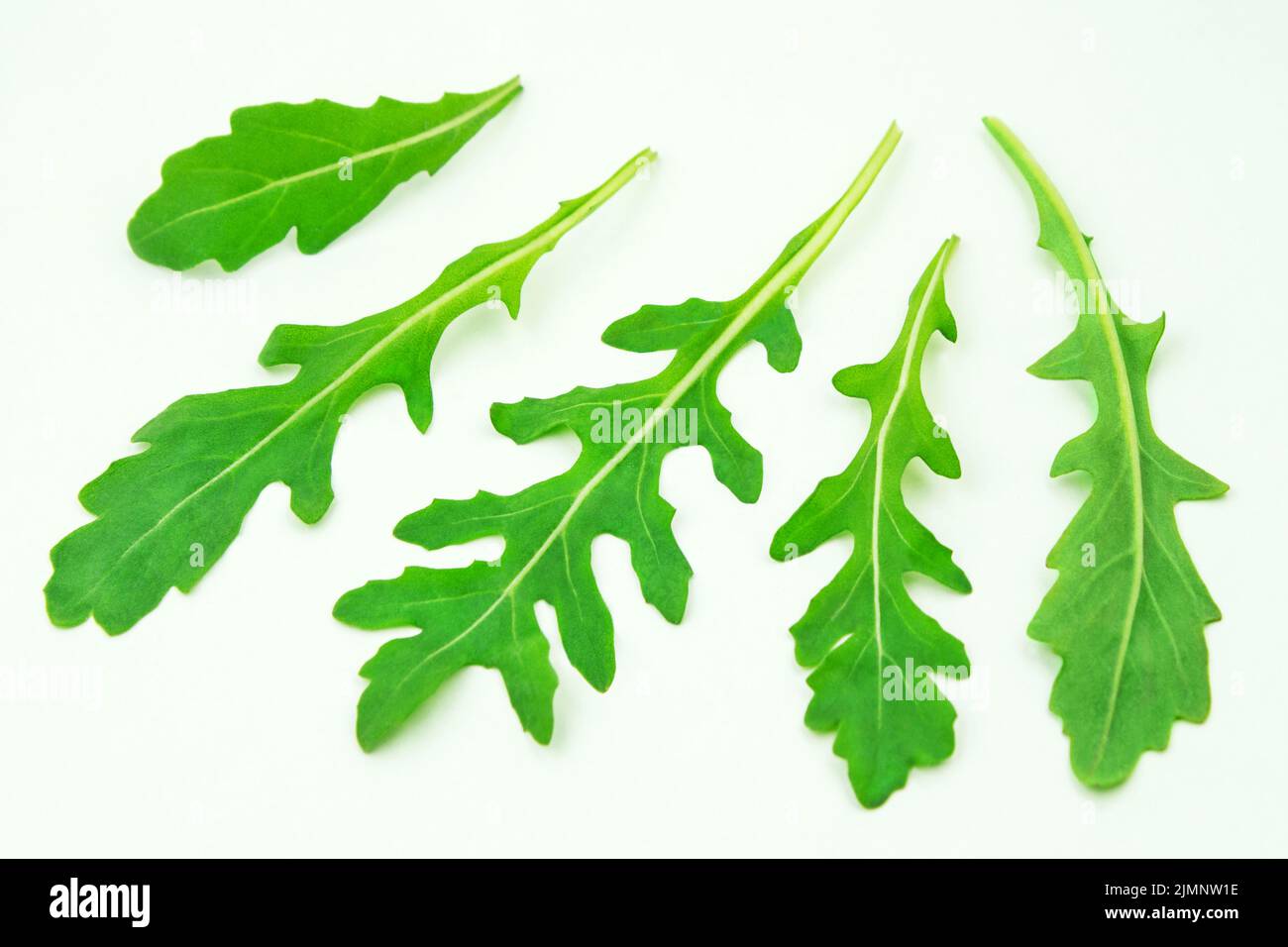 Rucola 5 leaves close up on white background Stock Photo