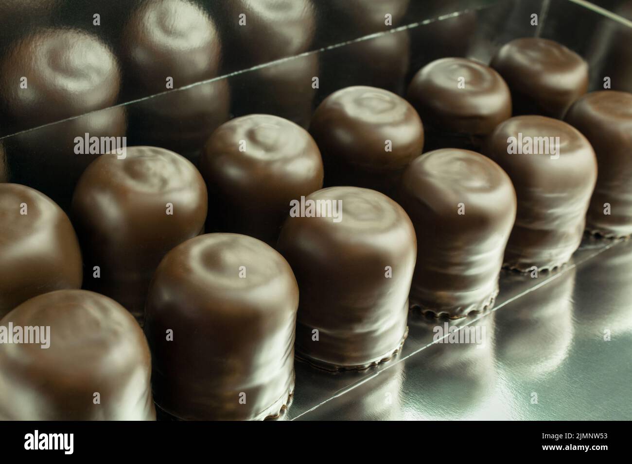 12 Whippet Cookies in a box close up Stock Photo