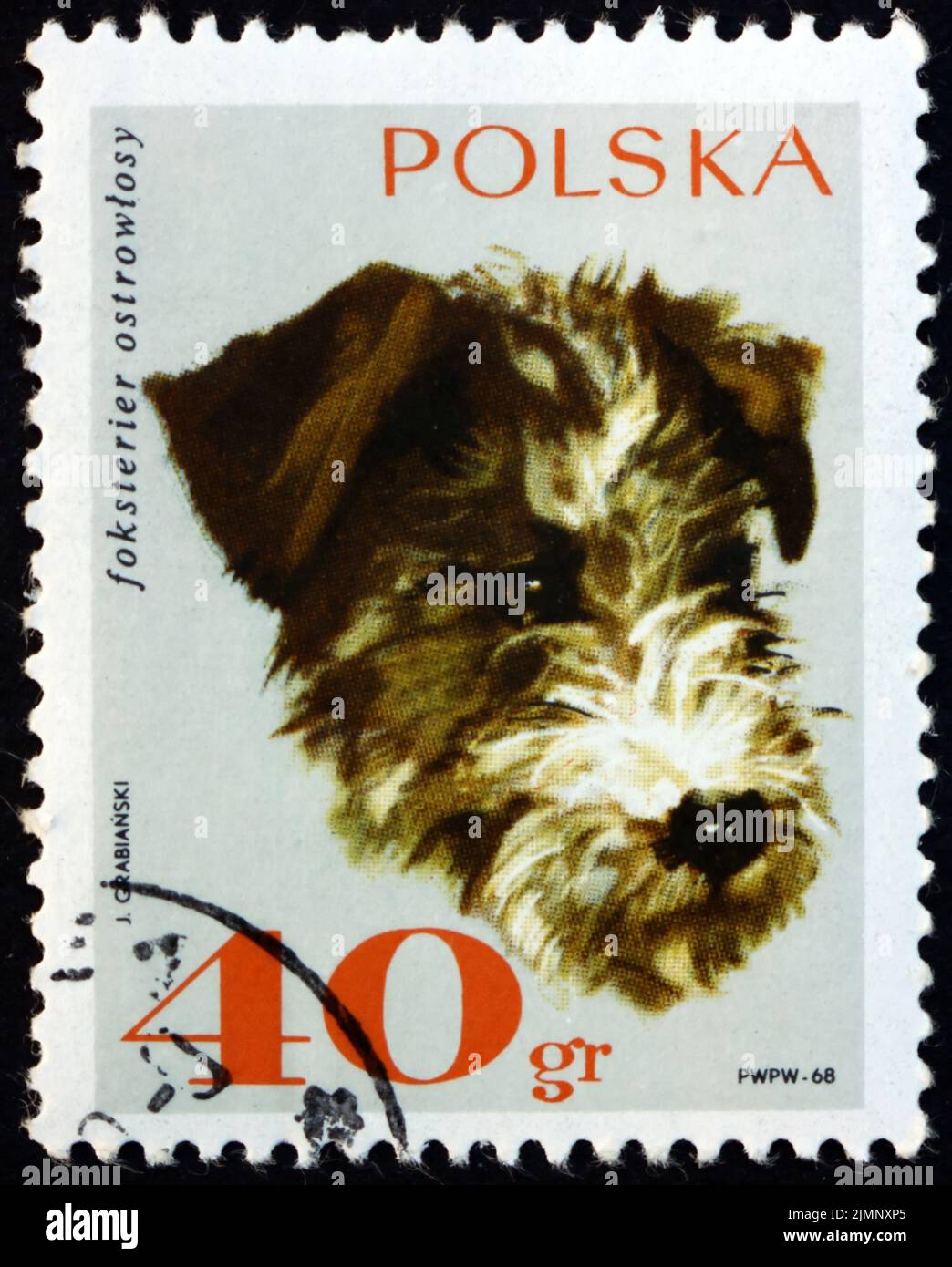 POLAND - CIRCA 1969: a stamp printed in Poland shows rough-haired fox terrier, is a breed of dog, circa 1969 Stock Photo