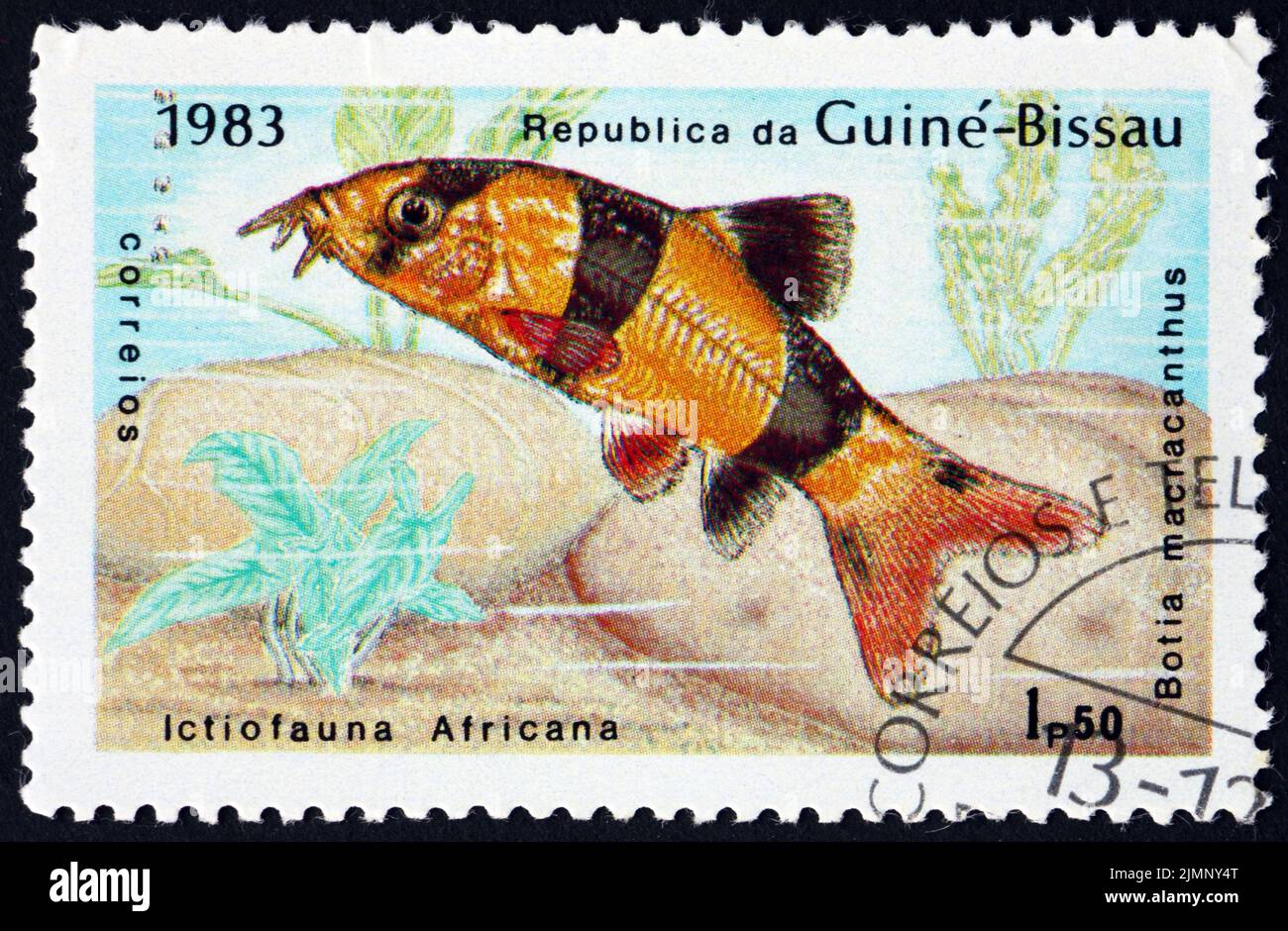 GUINEA-BISSAU - CIRCA 1983: a stamp printed in Guinea-Bissau shows clown loach, botia macracanthus, is a tropical freshwater fish, circa 1983 Stock Photo