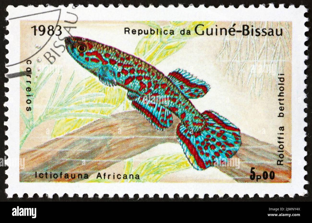 GUINEA-BISSAU - CIRCA 1983: a stamp printed in Guinea-Bissau shows roloffia bertholdi, is a genus of killifish which is endemic to Africa, circa 1983 Stock Photo