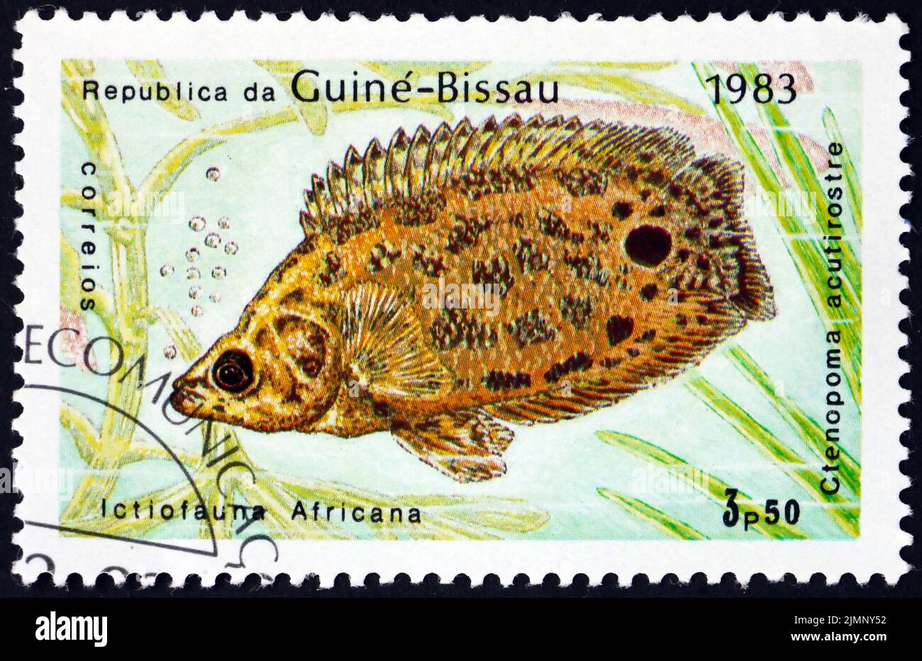 GUINEA-BISSAU - CIRCA 1983: a stamp printed in Guinea-Bissau shows leopard bush fish, ctenopoma acutirostre, is a freshwater fish endemic to the Congo Stock Photo