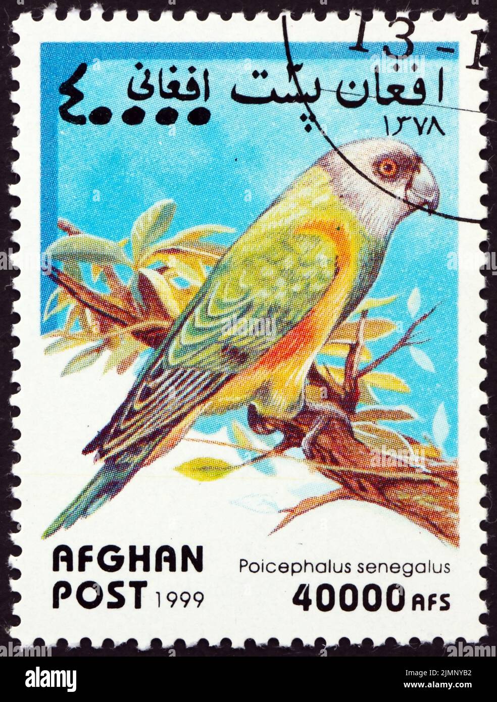 AFGHANISTAN - CIRCA 1999: a stamp printed in Afghanistan shows Senegal parrot, poicephalus senegalus, is a parrot which is a resident breeder across a Stock Photo