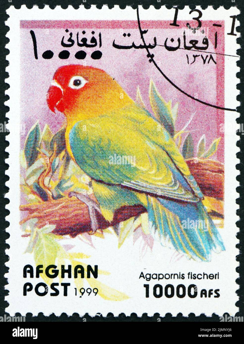AFGHANISTAN - CIRCA 1999: a stamp printed in Afghanistan shows Fishers lovebird, agapornis fischeri, is a species of bird of the lovebird genus in the Stock Photo