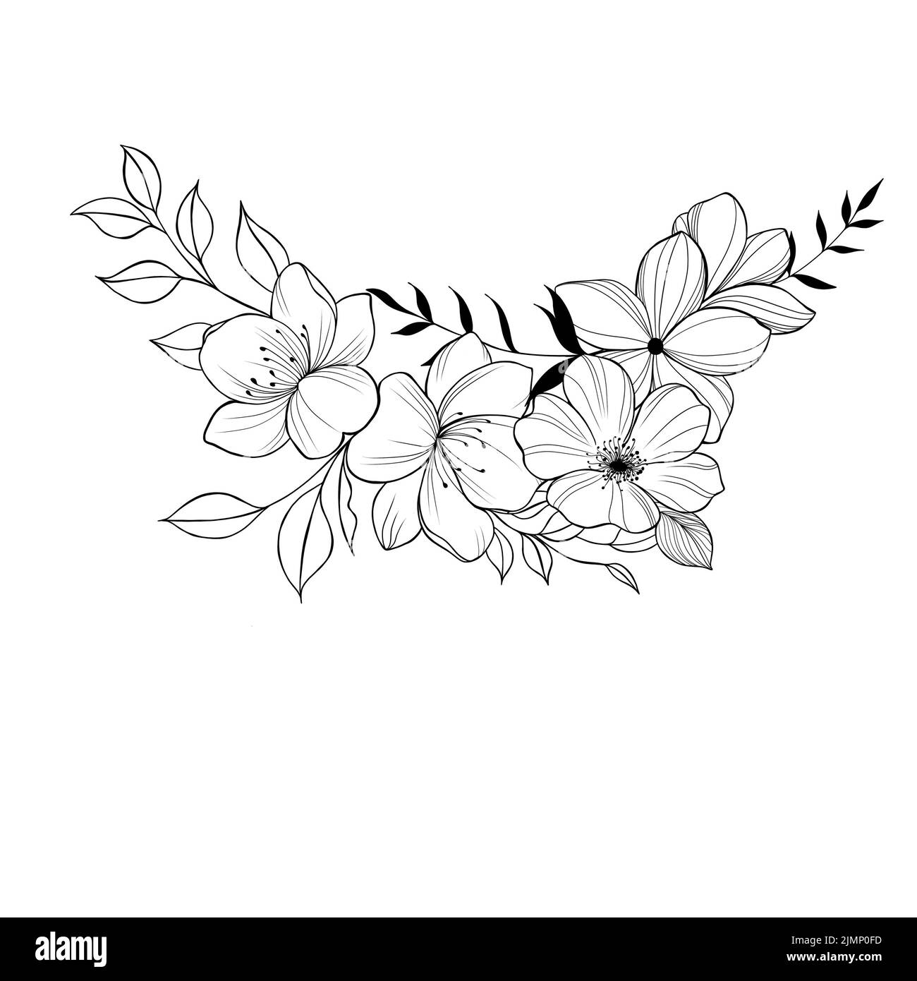 Flowers Periwinkle. Hand drawing. Outline. On a white background. Beautiful sketch of a tattoo - a delicate twig with flowers. botany design element Stock Photo