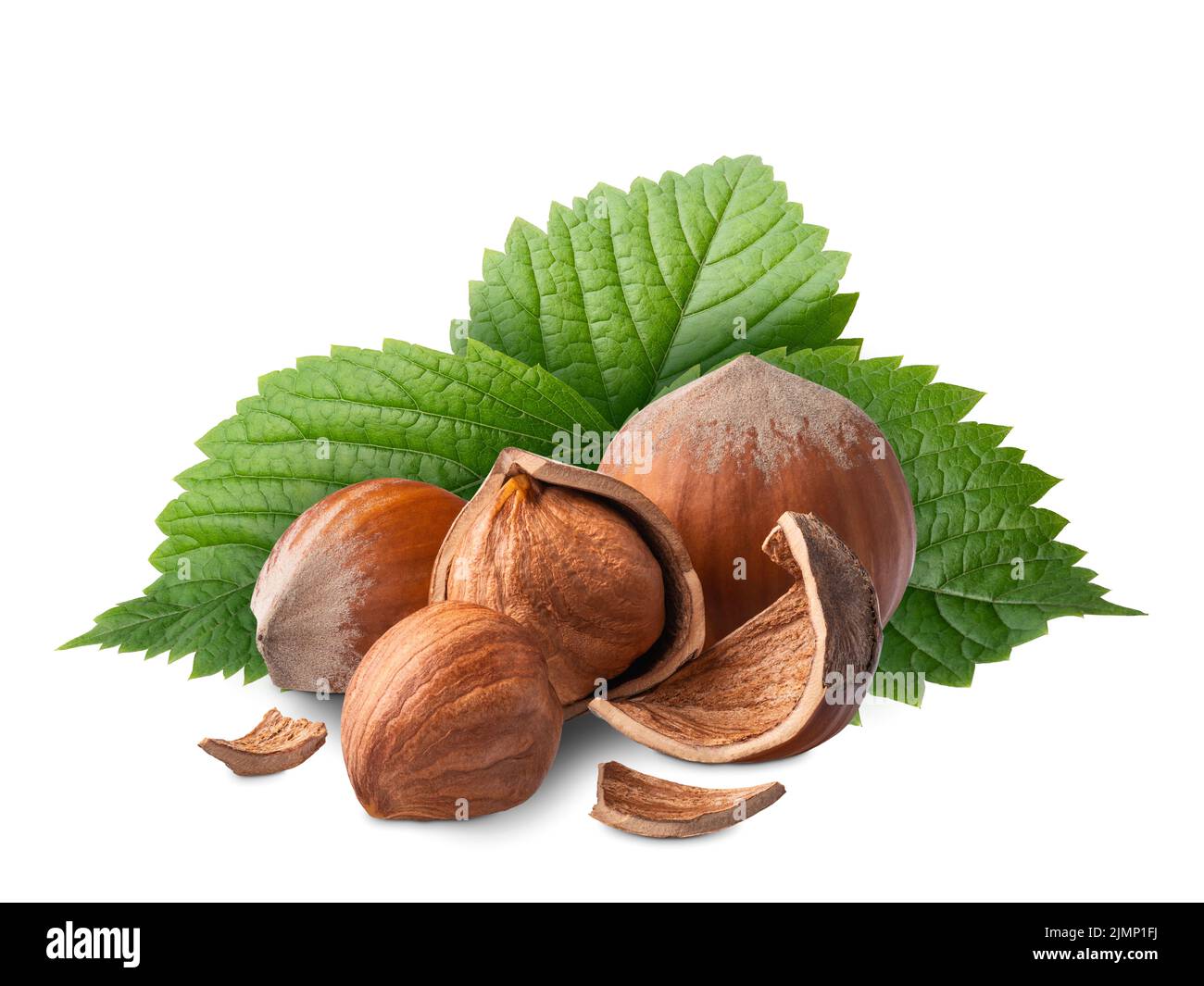 Hazelnuts with green leaves isolated on white. Deep focus Stock Photo