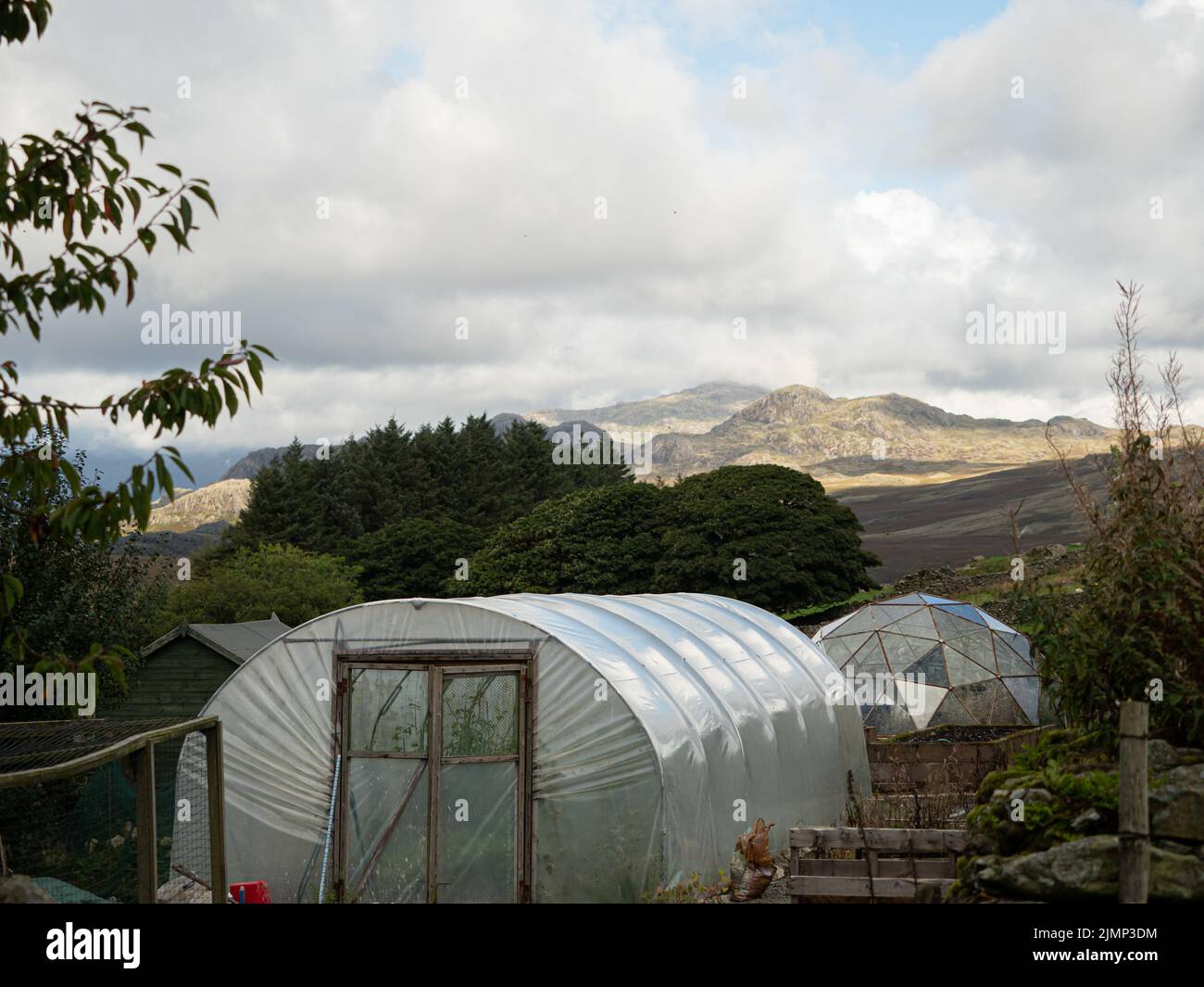 Lake District view with polytunnel greenhouse, trees, mountains and