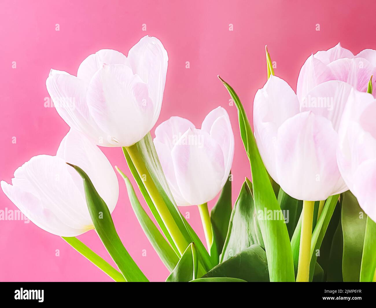 Earth for flowers hi-res stock photography and images - Page 27 - Alamy