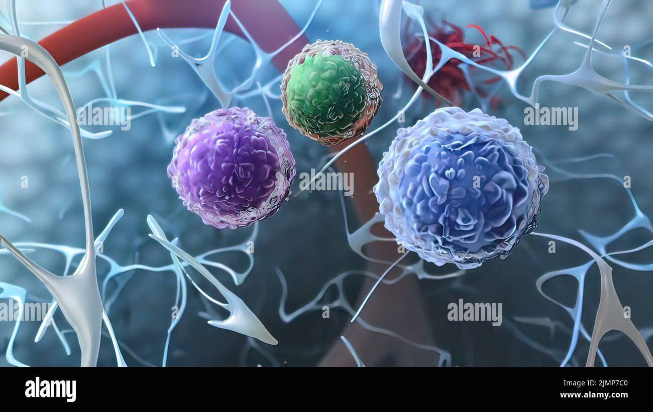 Identification of the ILC progenitor cell. Innate lymphoid cells are the most recently discovered family of innate immune cells. 3D illustration Stock Photo