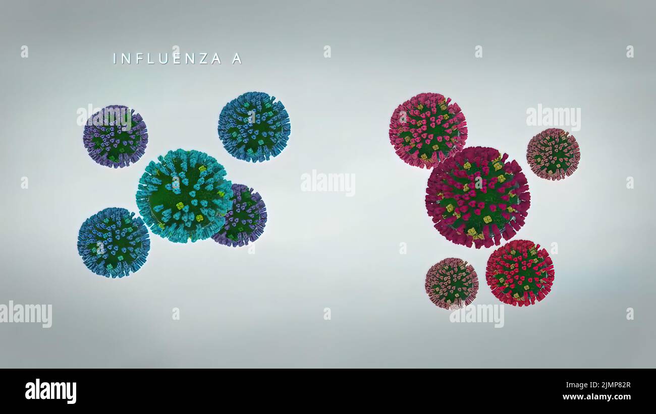 Influenza Virus Cells Looping Stock Photo