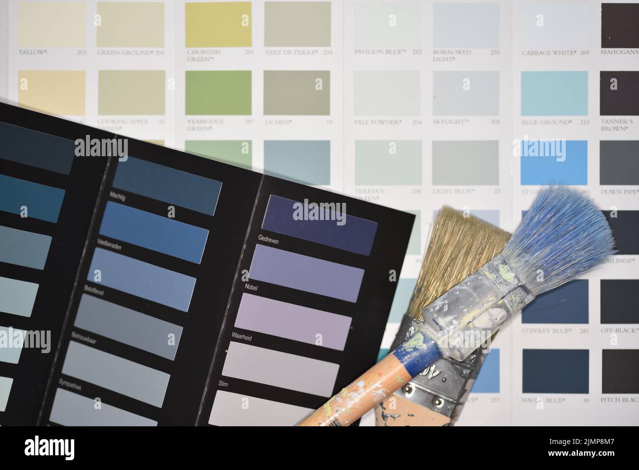 Grey shades color palette hi-res stock photography and images - Alamy