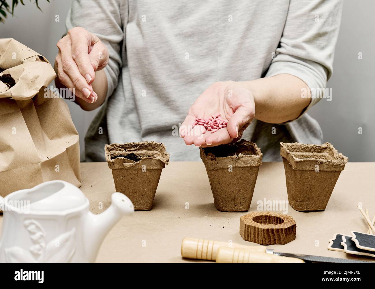 Cucumber seeds in a female palm. Planting seeds in paper cardboard cup ...