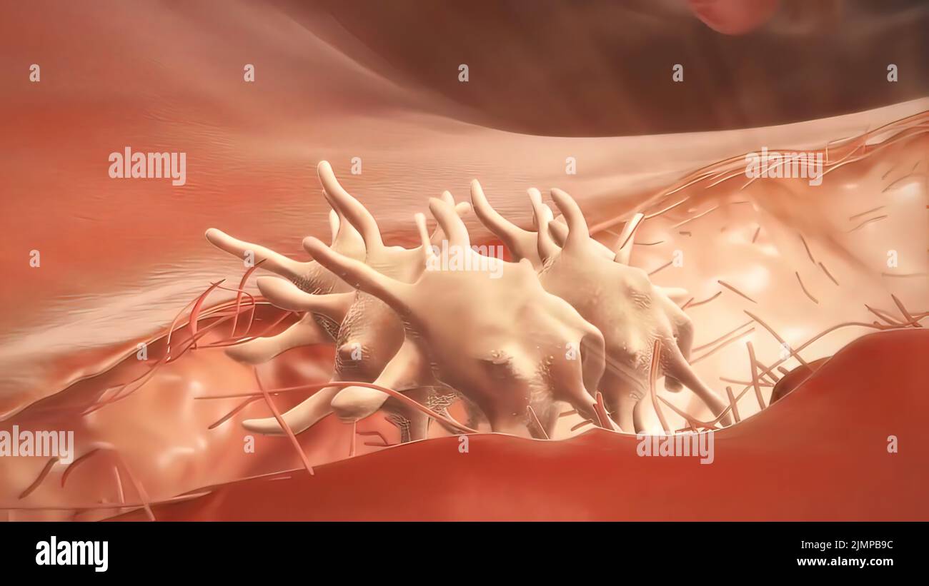 Clotting process hi-res stock photography and images - Alamy Clotting process hi-res stock photography and images - Alamy