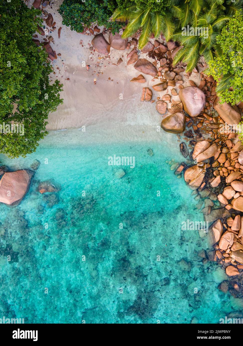 Praslin Seychelles tropical island with withe beaches and palm trees, Anse Lazio beach ,Palm tree stands over deserted tropical Stock Photo