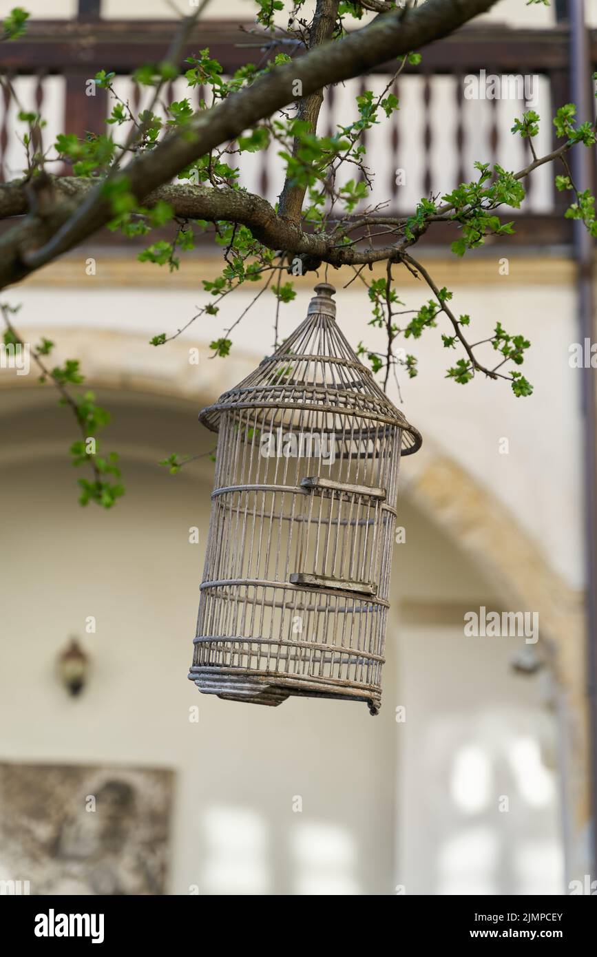 Old wooden bird cage as decoration in a tree in the garden Stock Photo
