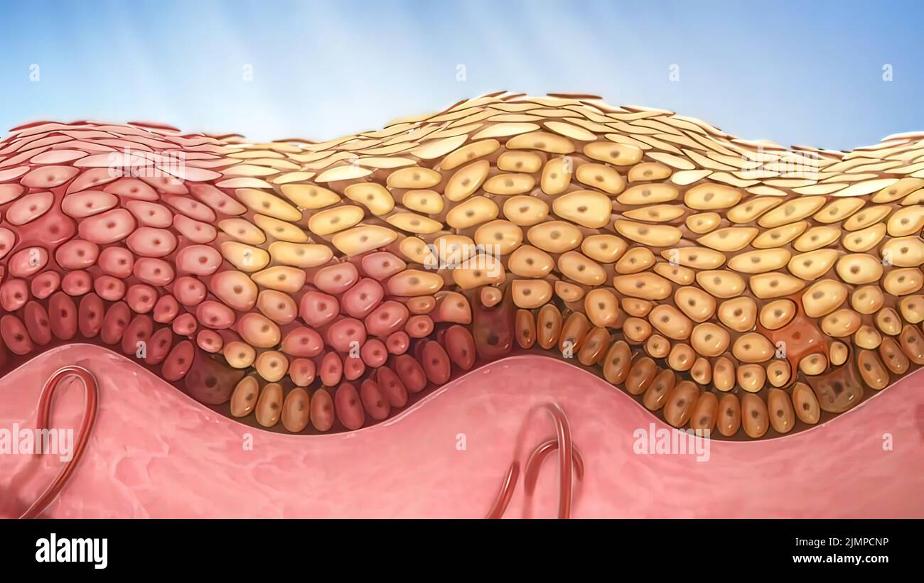 Harmful effects on health hires stock photography and images Alamy