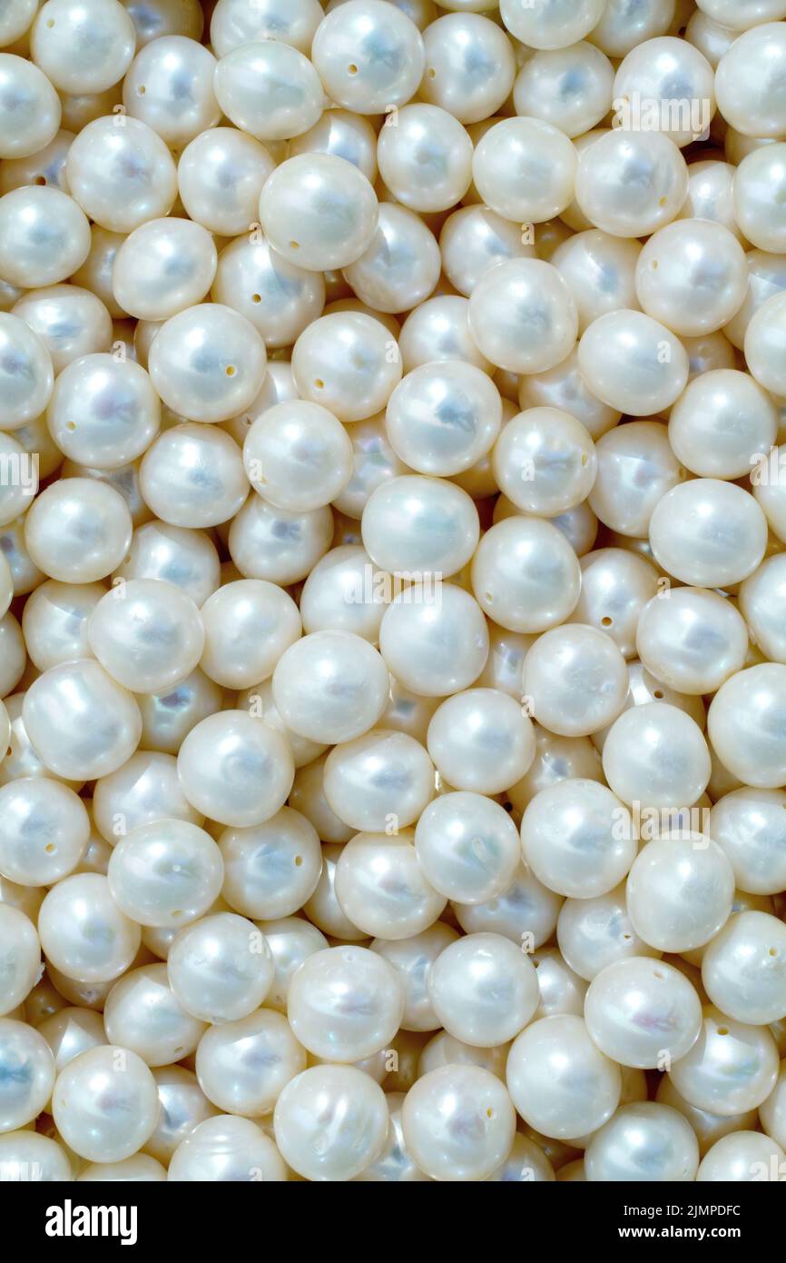 White, cultured pearls with hole. Stock Photo