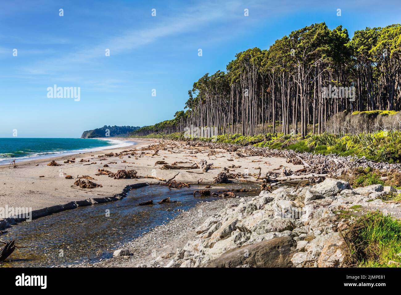 WHAT IS THE PACIFIC COAST KNOWN FOR visual data 8