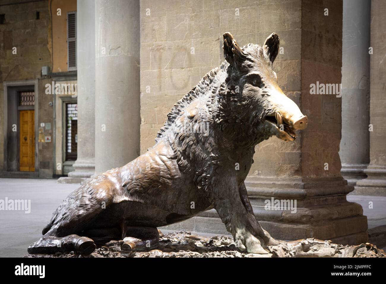 Florence, Italy Circa January 2022 the antique pig statue, symbol of