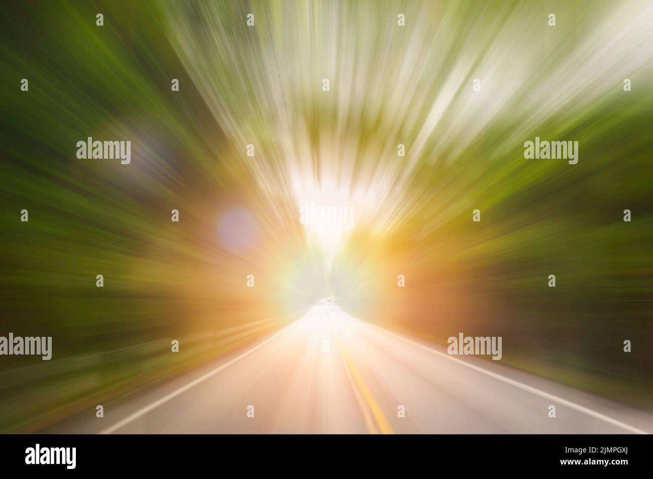 Abstract motion blur speed on the road in forest Stock Photo