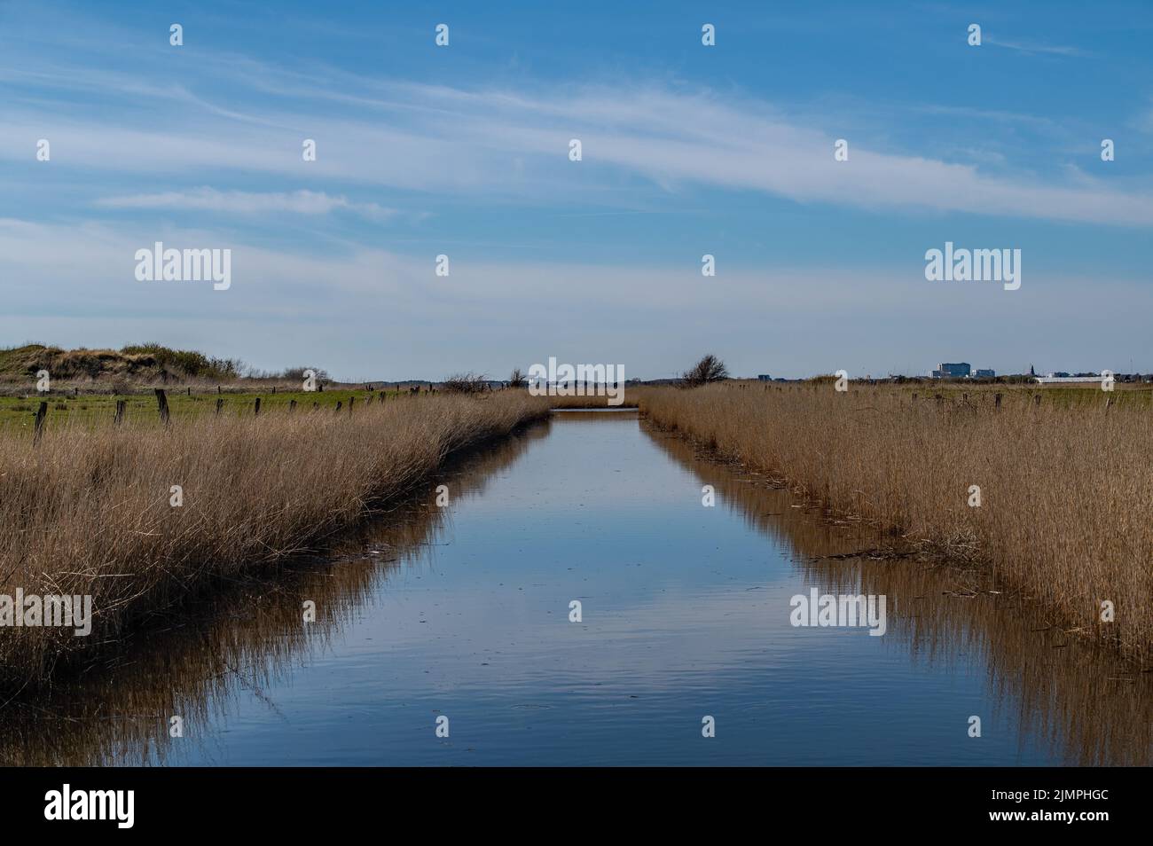 Polders Stock Photo