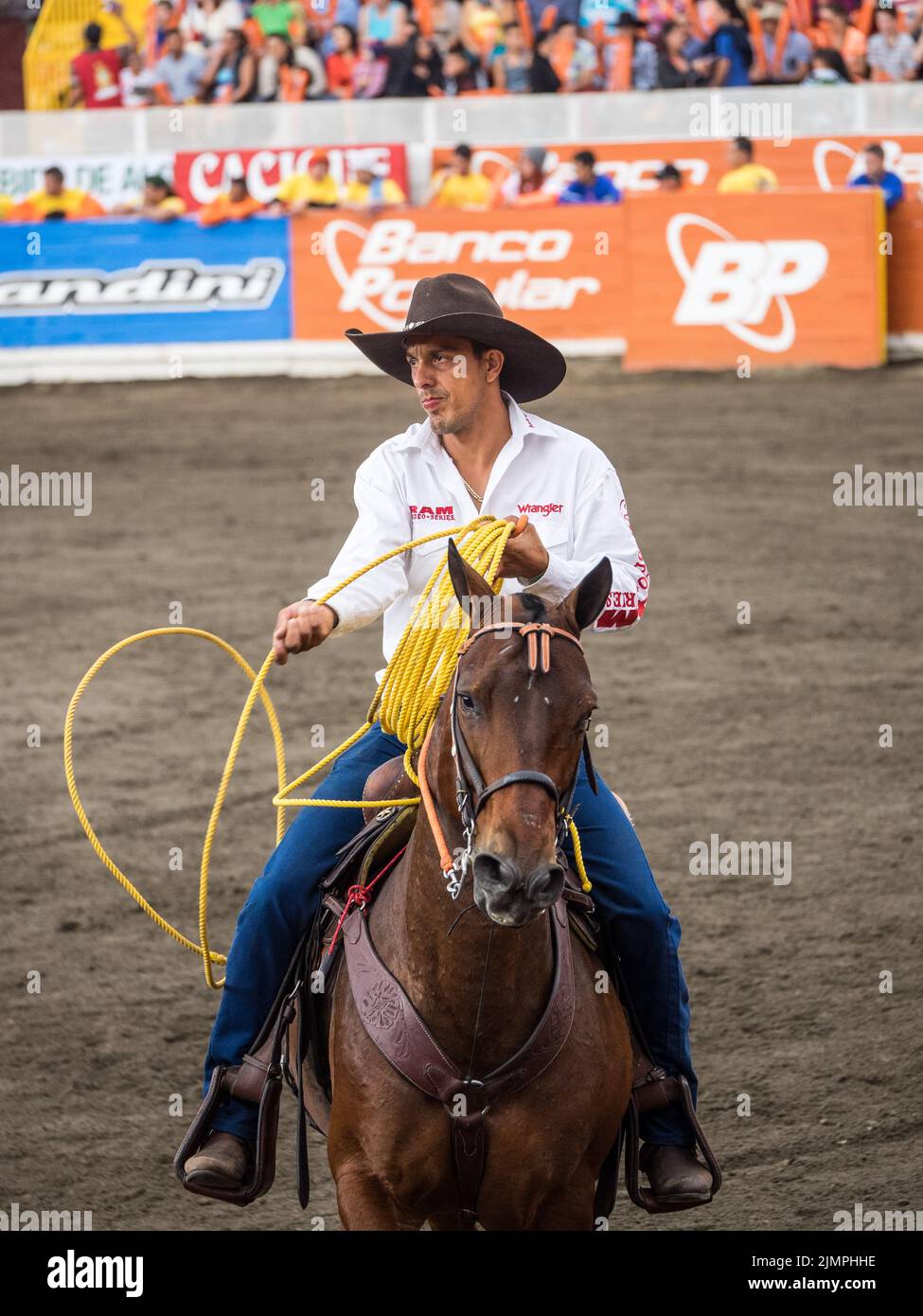 Cowboy on his horse at a rodeo in Zapote, Costa Rica. Stock Photo