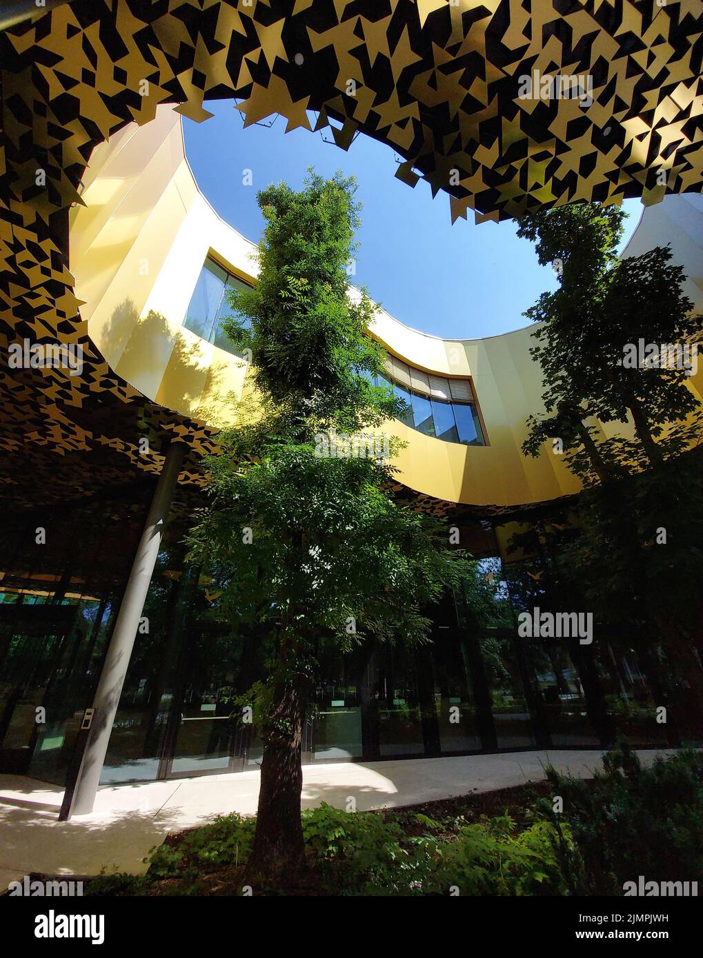 Budapest, Hungary - House of Hungarian music. Detail leafy tree in architecture. Stock Photo