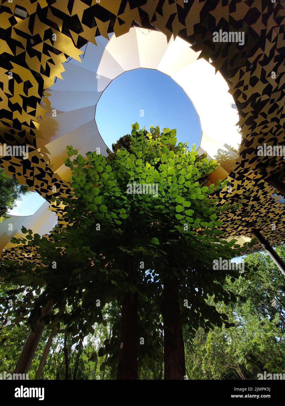 Budapest, Hungary - House of Hungarian music. Detail leafy tree in architecture. Stock Photo