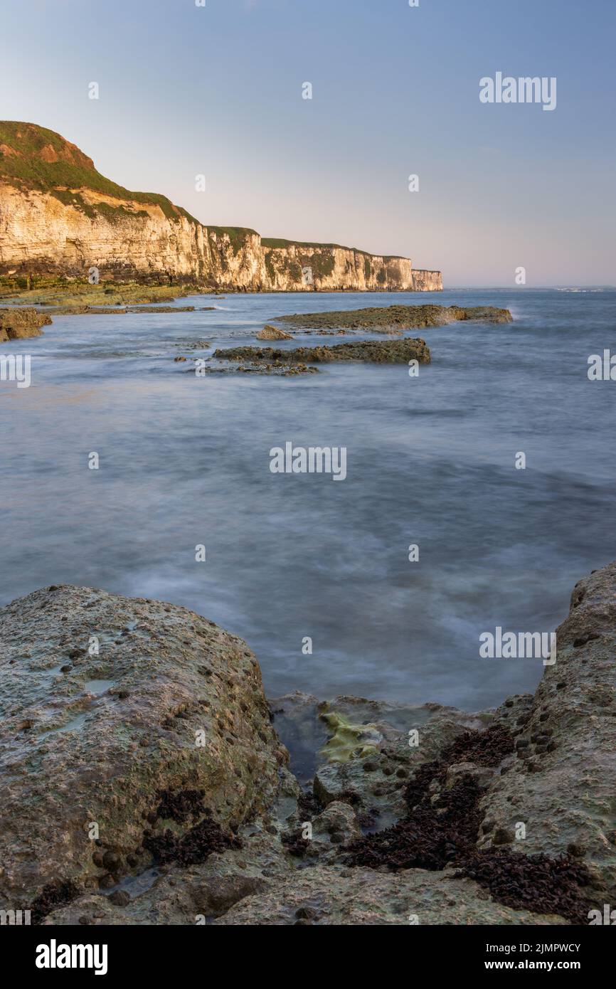 An early morning view from Thornwick Nab on the East Yorkshire Coast, England, Uk Stock Photo