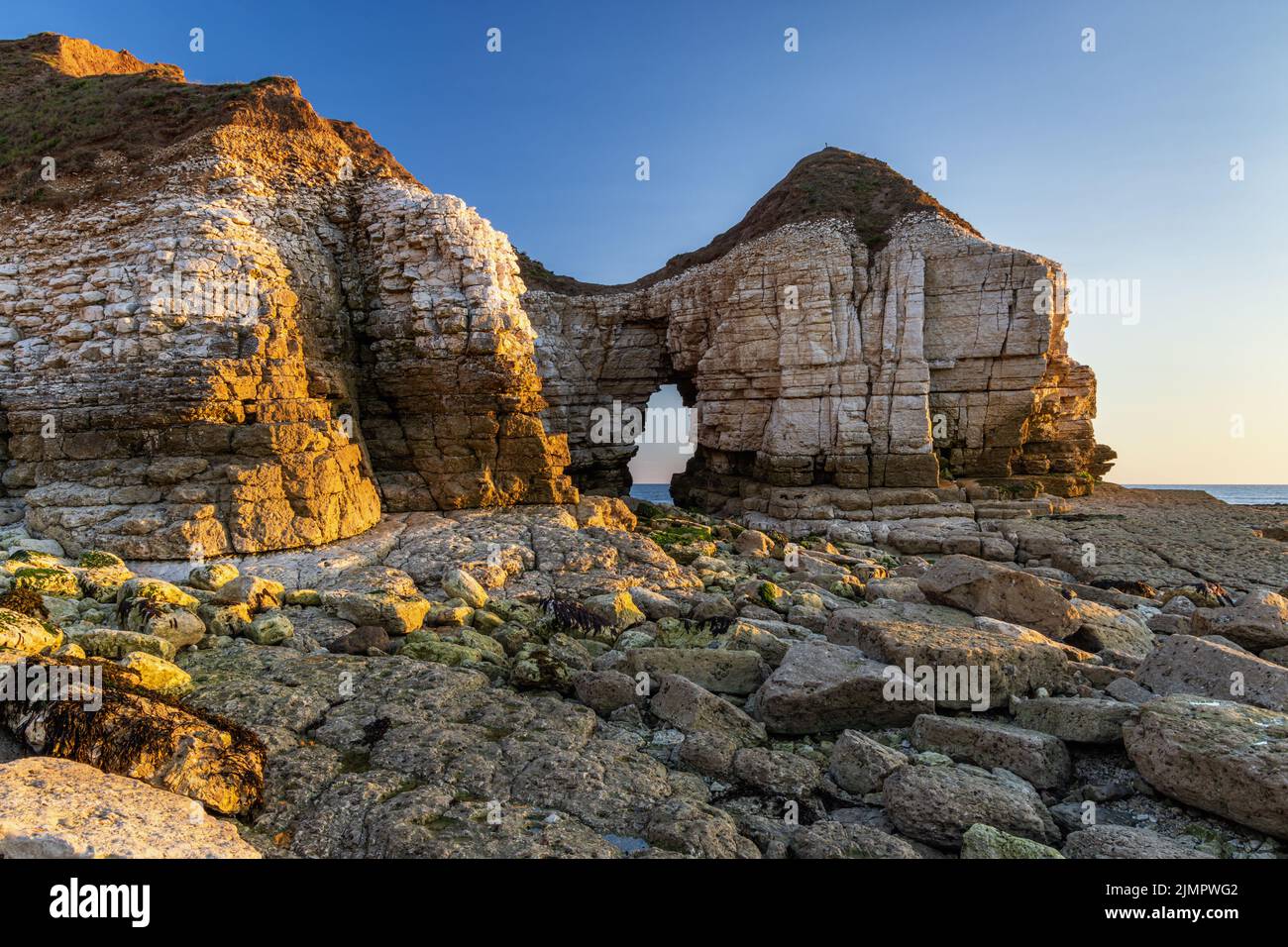Thornwick Nab is an impressive sea stack and arch at Thornwick Bay on the East Yorkshire coast, England, Uk. Taken at sunrise. Stock Photo