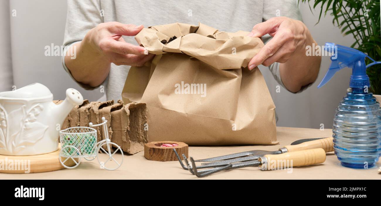A woman in gray clothes holds a bag of soil for planting seeds in paper cups. Hobby and leisure Stock Photo