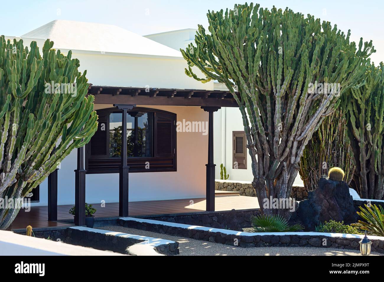 Traditional white spanish house with big Cactus in front Stock Photo ...