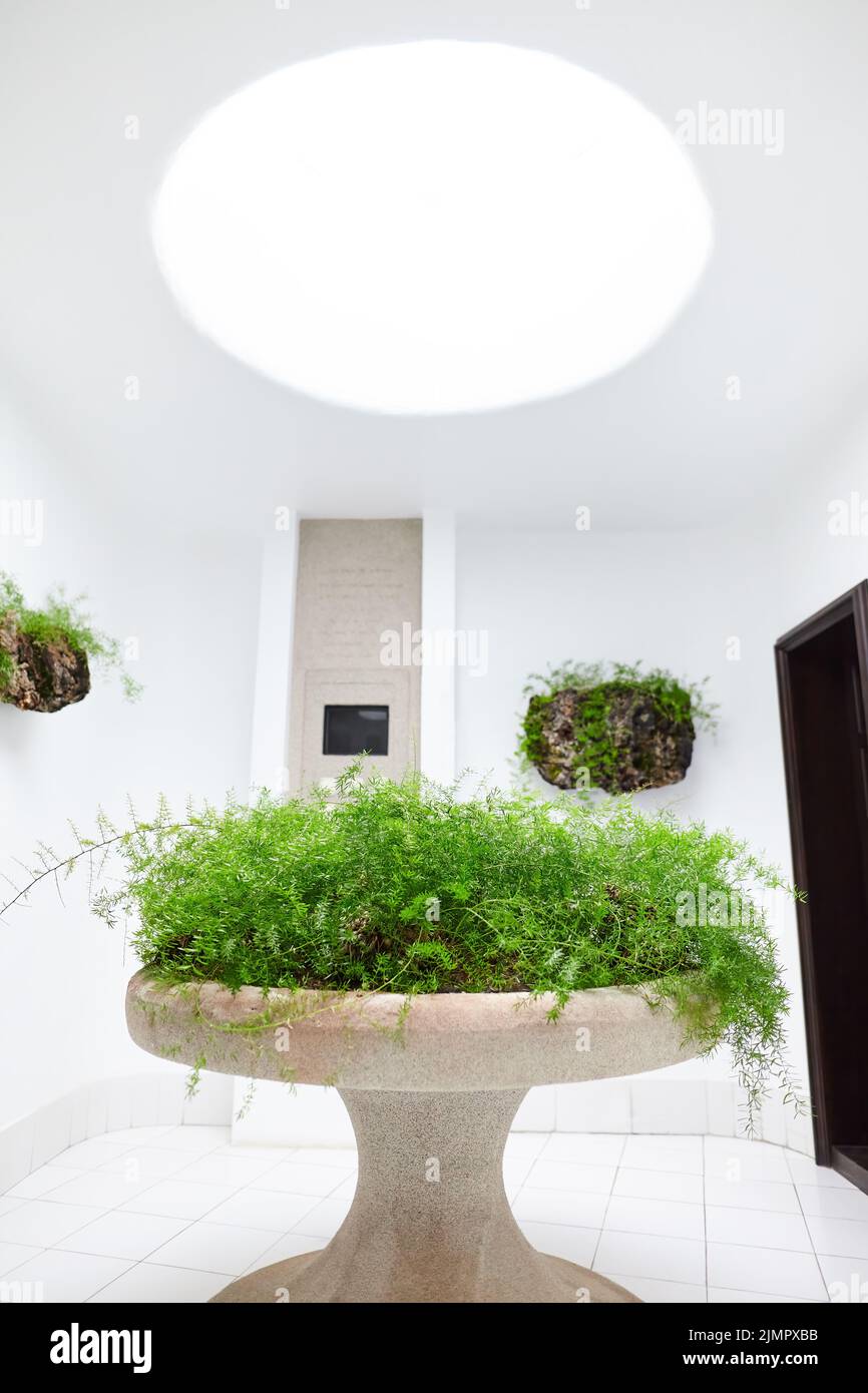 Picture of Futuristic interior design of modern apartment Stock Photo - Alamy