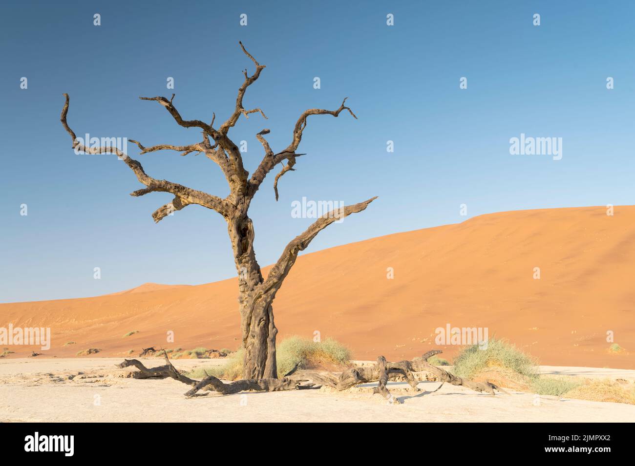 Kalahari resort hi-res stock photography and images - Alamy