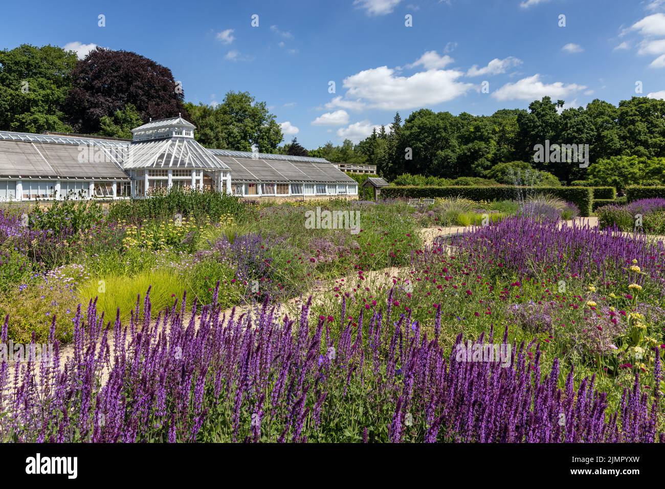 Scampston Hall Walled Garden and William Richardson conservatory, North Yorkshire, in summer. A four acre contemporary garden designed by Piet Oudolf. Stock Photo