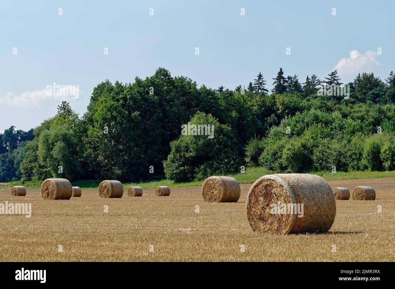 Strohballen auf einem Feld in Bayern warten auf Abholung Stock Photo