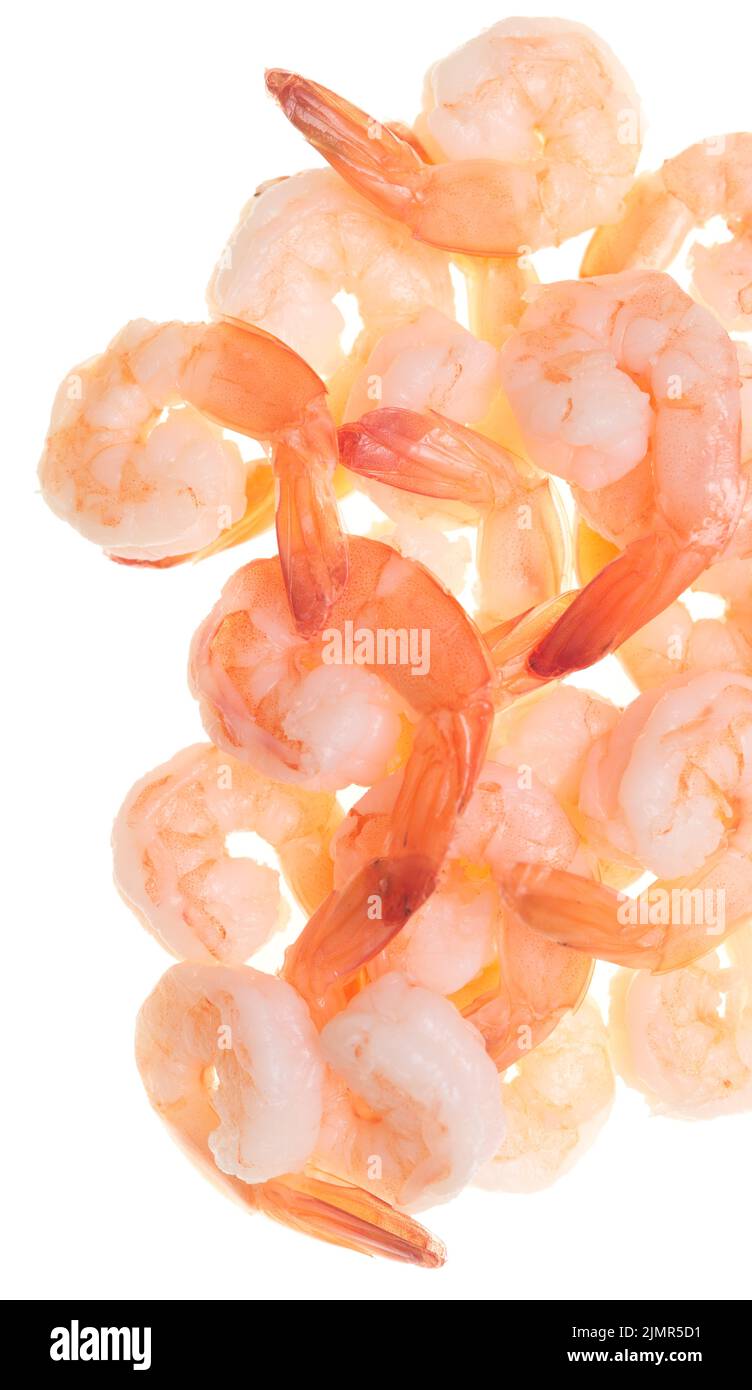 Shrimps on white Stock Photo