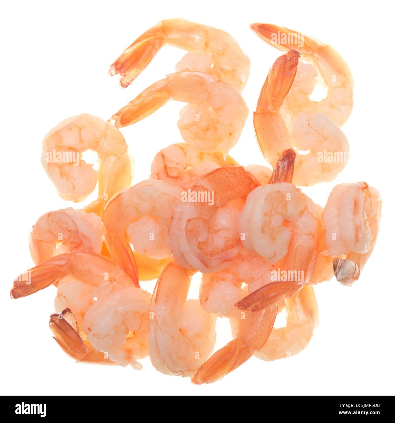 Shrimps on white Stock Photo