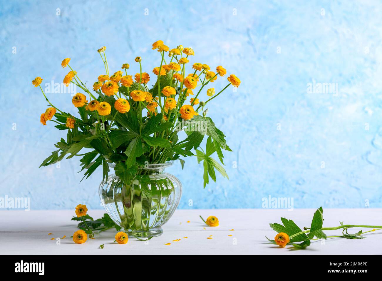 Little yellow buttercups in a vase. Stock Photo