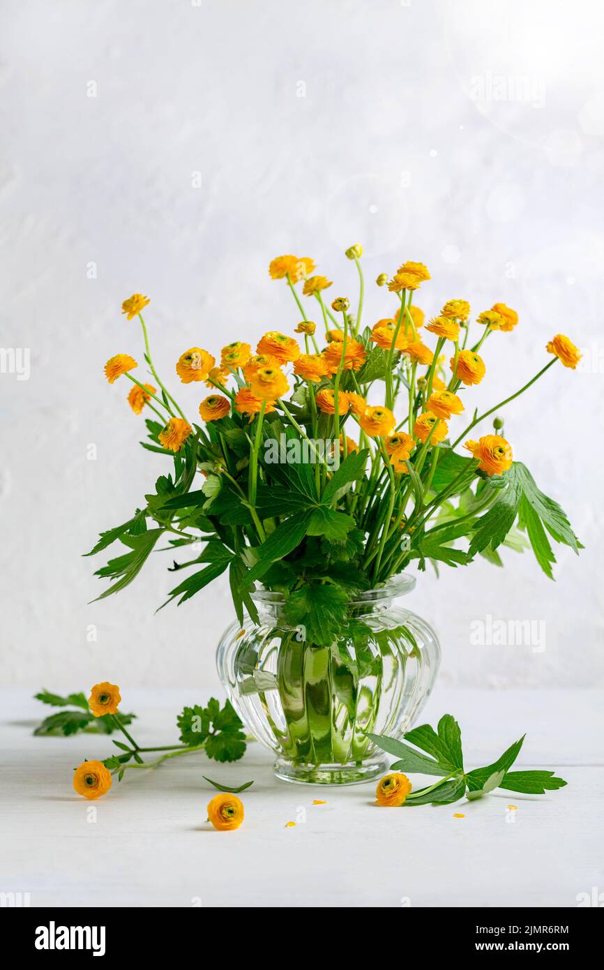 Bouquet of small yellow buttercups. Stock Photo
