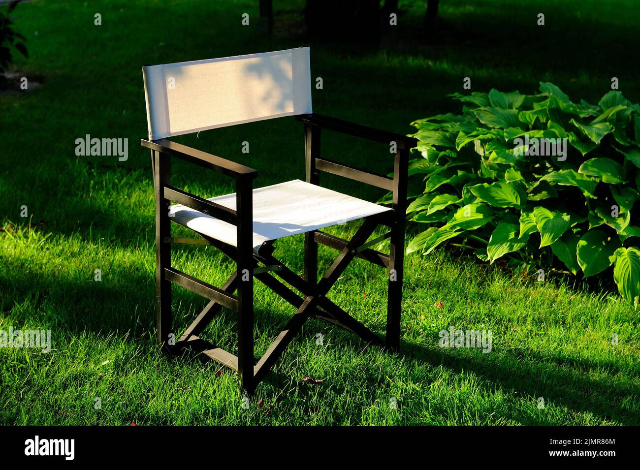 chair, furniture, director's, director's chair, position, social status, film studio, photo studio, clean, new, waiting, concept, business, event, Stock Photo