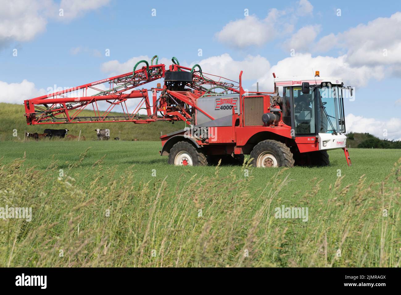 A Bateman 4000 Crop Sprayer in a Field of Unripe Barley Retracting Its Spray Boom After Spraying the Crop Stock Photo