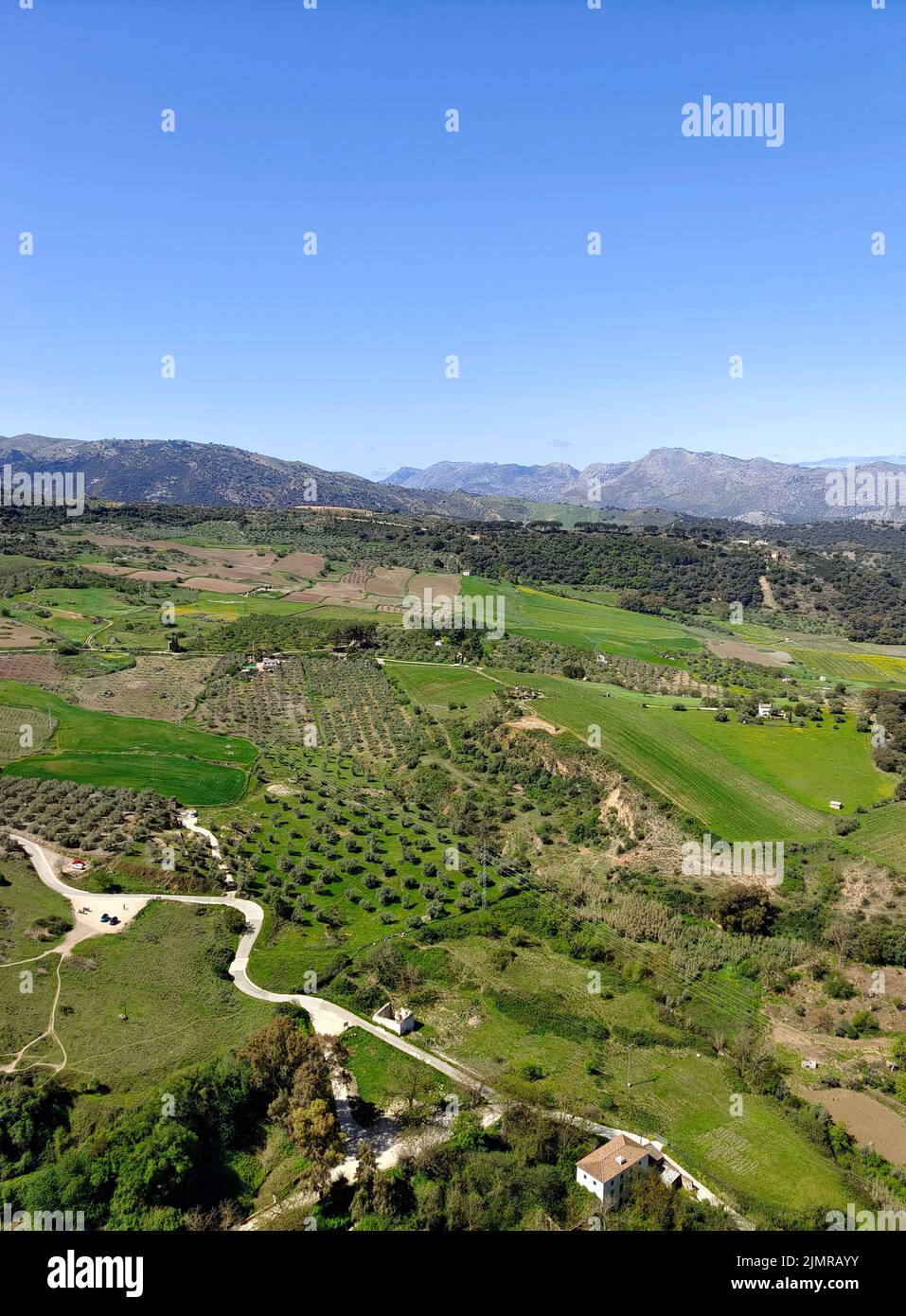 Meadows in Ronda in the south of Spain in the springtime Stock Photo