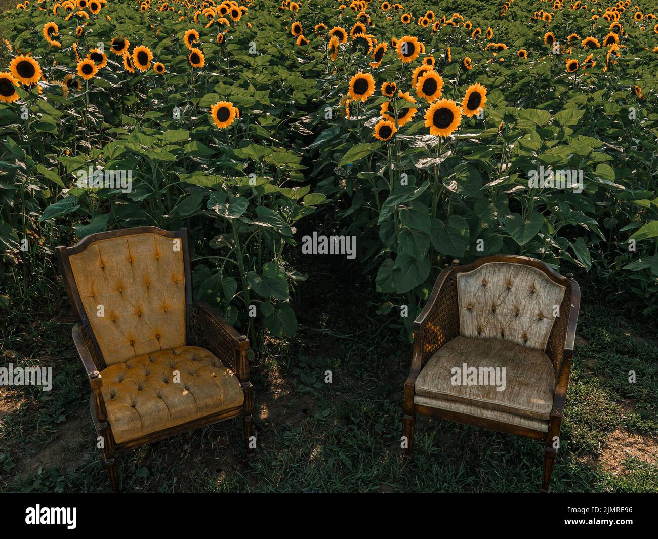 Two vintage wooden chairs hi-res stock photography and images - Alamy
