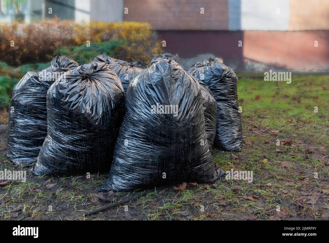 The big black plastic bags with garbage waste in forest Stock Photo - Alamy