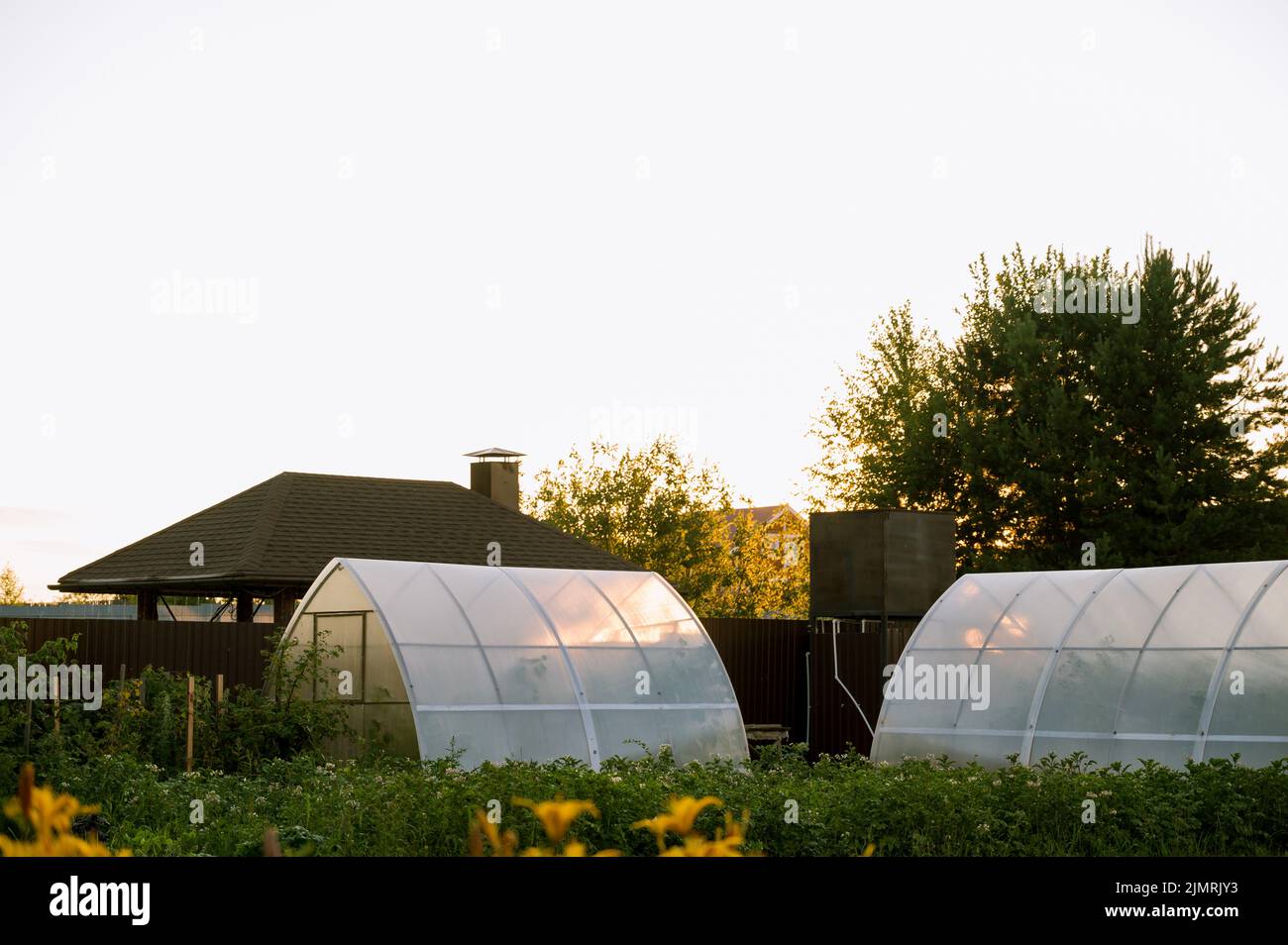 Greenhouses in summer garden hi-res stock photography and images - Alamy