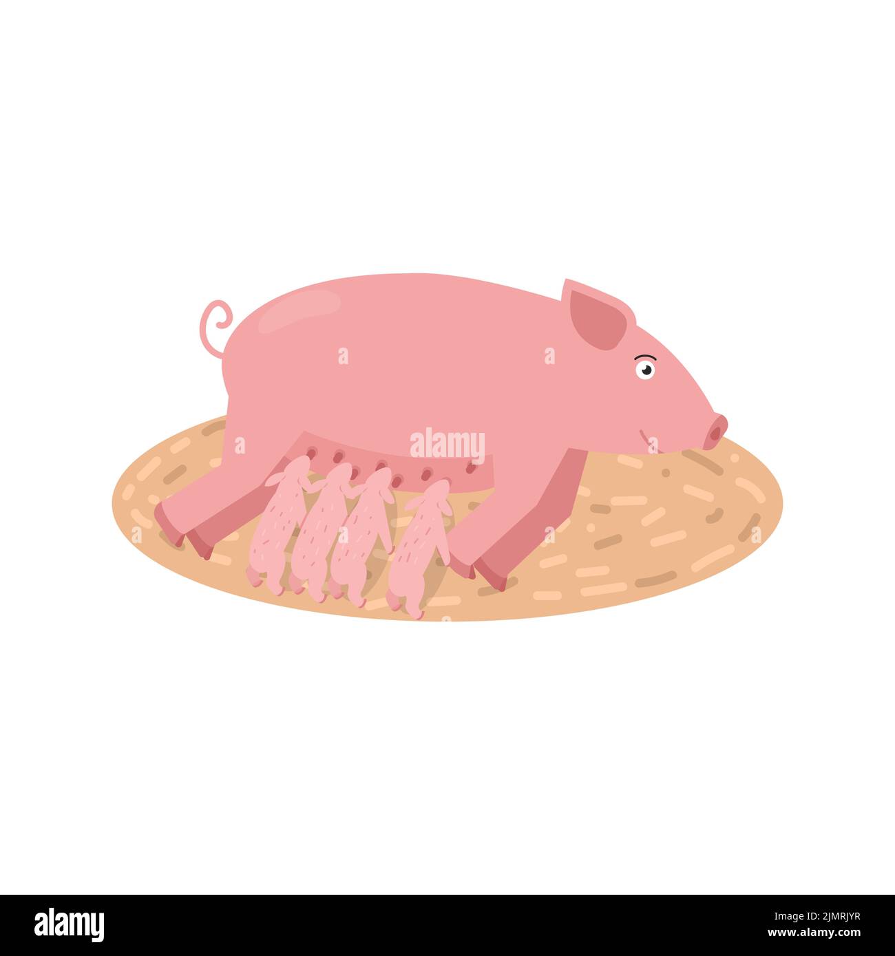 Piglet piglets Cut Out Stock Images \u0026 Pictures - Alamy, image size:1300x1389