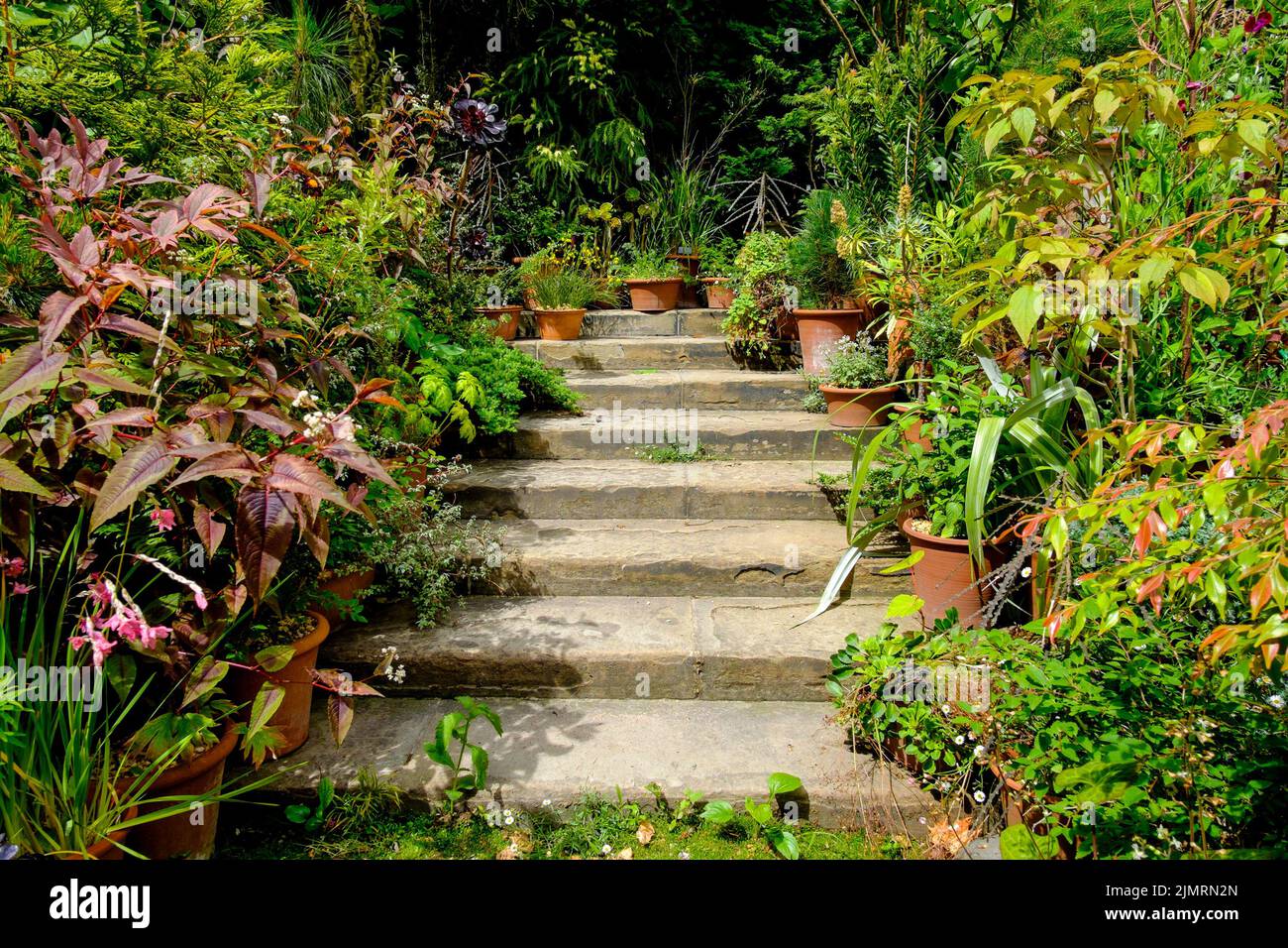 Stone steps and potted plants, Inner Temple Garden, Temple, London, UK Stock Photo