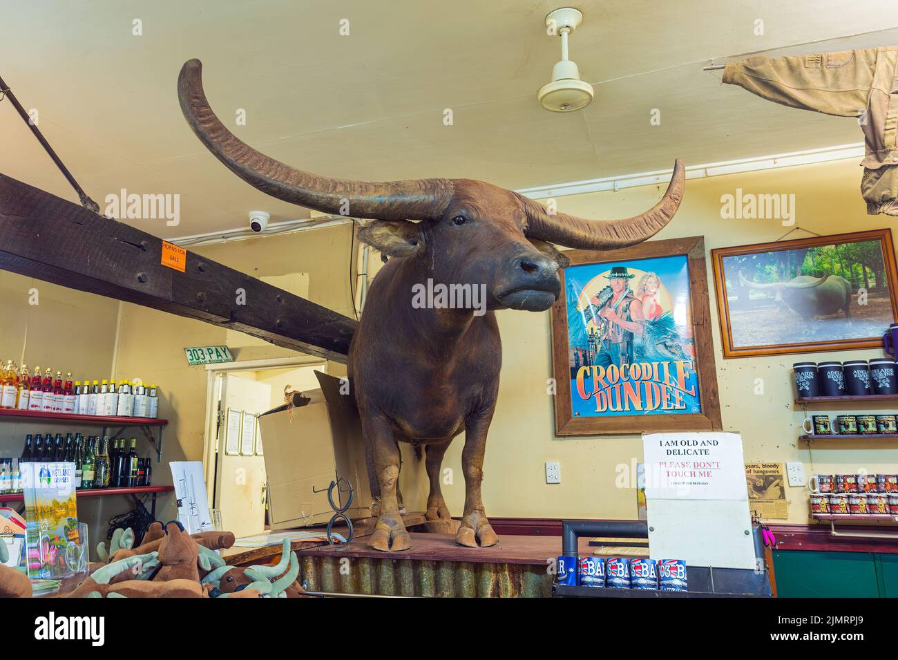Stuffed water buffalo shop