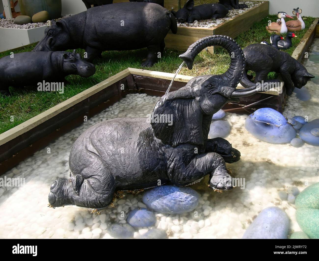 Chelsea Flower Show Stock Photo - Alamy